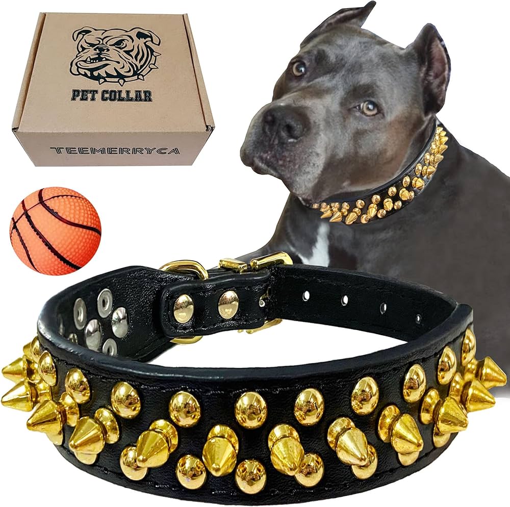 Pets & Pet Supplies